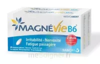 Magnevie B6 100 Mg/10 Mg Comprimés Pelliculés 2plq/60 (120) à COLLONGES-SOUS-SALEVE