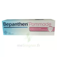 Bepanthen 5 % Pommade T/100g à COLLONGES-SOUS-SALEVE